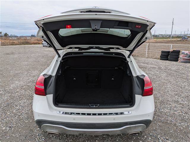 Mercedes Mercedes GLA220 DBA-156947